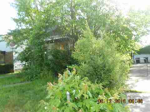 19246 Albany (4)_m.jpg